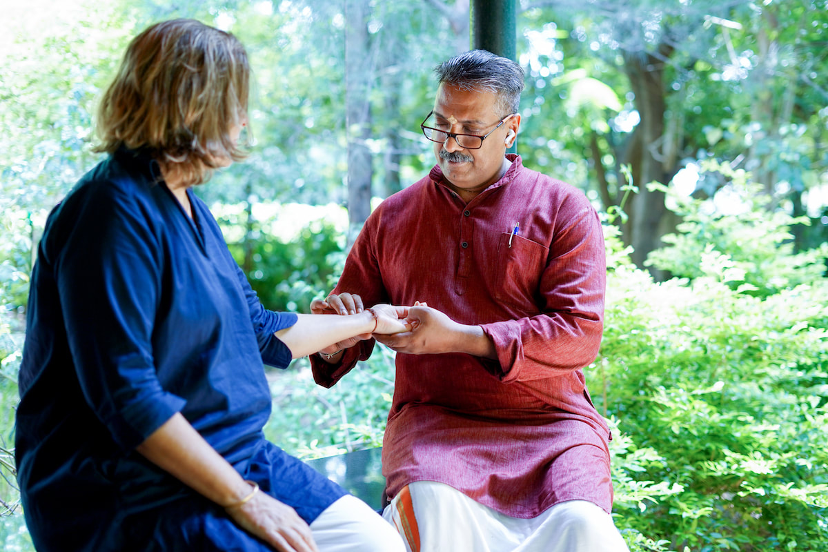 Vaidyagrama Ayurveda Healing Village-View-4